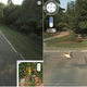 Illustration for article titled Google Maps Car Hits a Deer, Records Entire Ordeal on Google Maps